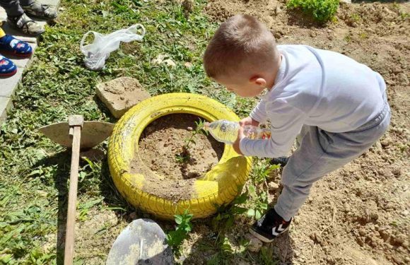 Градина во нашата градина